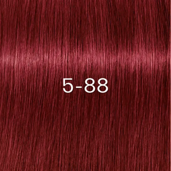 Schwarzkopf Professional IGORA ZERO AMM permanentná farba na vlasy bez amoniaku odtieň 5-88 60 ml