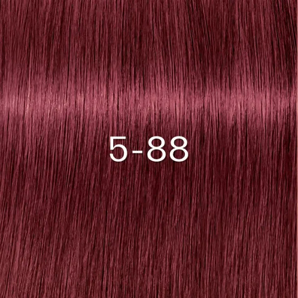 Schwarzkopf Professional IGORA ZERO AMM permanentná farba na vlasy bez amoniaku odtieň 5-88 60 ml