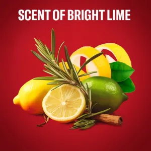 Old Spice Citron tuhý dezodorant pre mužov 50 ml