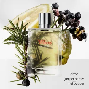 HERMÈS Terre d’Hermès Eau Givrée parfumovaná voda plniteľná pre mužov 175 ml