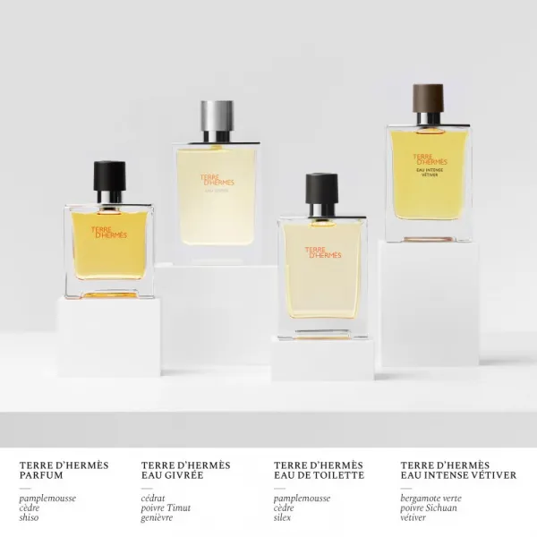 HERMÈS Terre d’Hermès Eau Givrée parfumovaná voda plniteľná pre mužov 175 ml