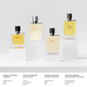 HERMÈS Terre d’Hermès Eau Givrée parfumovaná voda plniteľná pre mužov 175 ml
