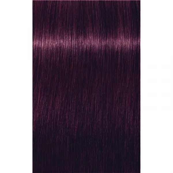 Schwarzkopf Professional IGORA Royal farba na vlasy odtieň 0-99 Violet Concentrate 60 ml