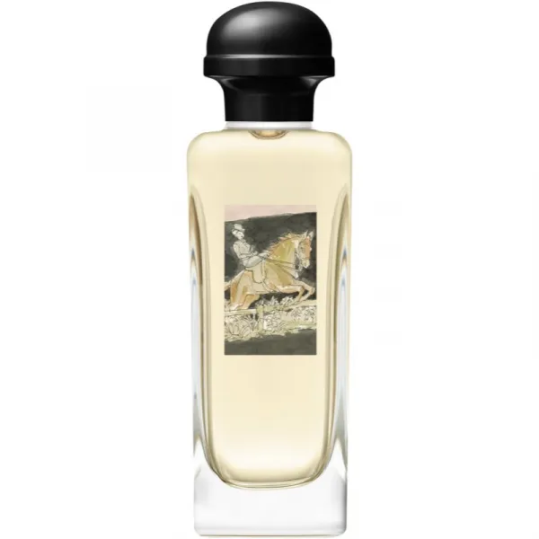 HERMÈS Amazone Eau de Toilette toaletná voda pre ženy 100 ml