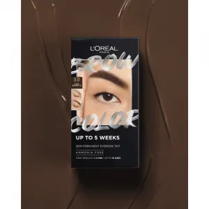 L’Oréal Paris Brow Color farba na obočie odtieň 3.0 Dark Brunette 1 ks