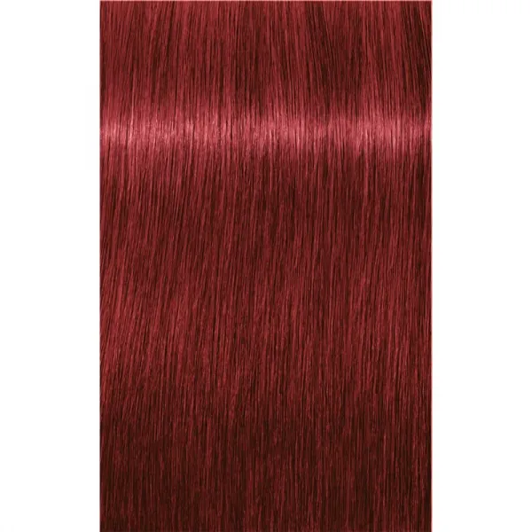 Schwarzkopf Professional IGORA Royal farba na vlasy odtieň 6-88 Dark Blonde Red Extra 60 ml