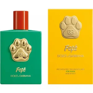 Dolce&Gabbana Fefé fragrance mist for dogs parfumovaná hmla unisex 100 ml