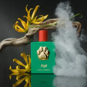 Dolce&Gabbana Fefé fragrance mist for dogs parfumovaná hmla unisex 100 ml