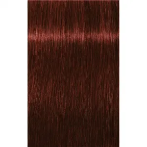 Schwarzkopf Professional IGORA Royal Absolutes farba na vlasy odtieň 5-80 Light Brown Red Natural 60 ml