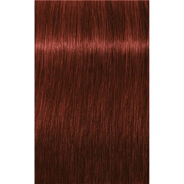 Schwarzkopf Professional IGORA Royal Absolutes farba na vlasy odtieň 6-80 Dark Blonde Red Natural 60 ml