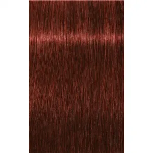 Schwarzkopf Professional IGORA Royal Absolutes farba na vlasy odtieň 6-80 Dark Blonde Red Natural 60 ml