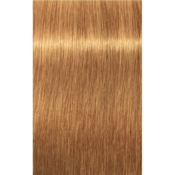 Schwarzkopf Professional IGORA Royal Absolutes farba na vlasy odtieň 9-60 Extra Light Blonde Chocolate Natural 60 ml