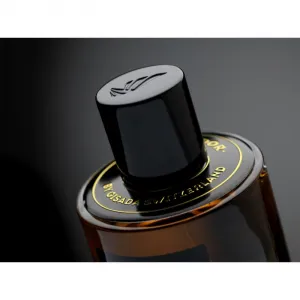 Gisada Ambassador parfumovaná voda pre mužov 50 ml