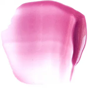 Paese Beauty Lipgloss With Meadowfoam Seed Oil hydratačný lesk na pery odtieň 06 Vivid 3.4 ml