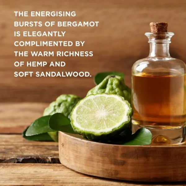 Baylis & Harding The Fuzzy Duck Bergamot, Hemp & Sandalwood darčeková sada kozmetická taštička pre mužov
