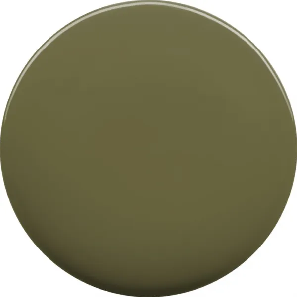 Notino Gel Effect Nail Polish lak na nechty s gélovým efektom 883 Seaweed 10 ml
