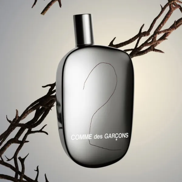 Comme des Garçons 2 parfumovaná voda unisex 50 ml