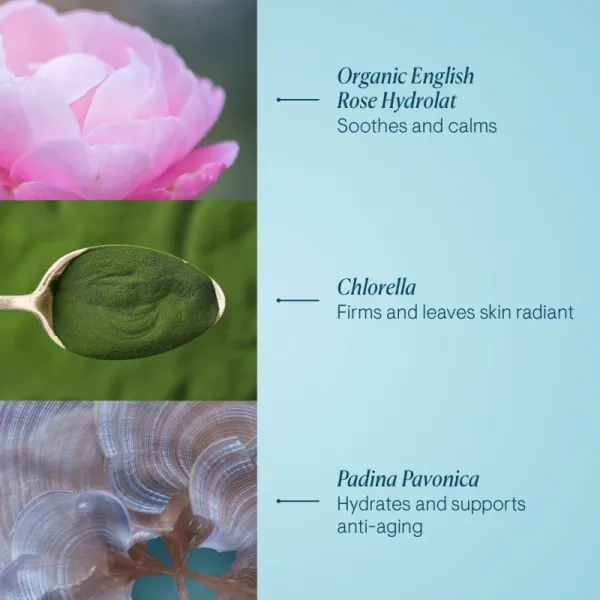 Elemis Pro-Collagen Rose Marine Cream hydratačný gélový krém pre spevnenie pleti 30 ml