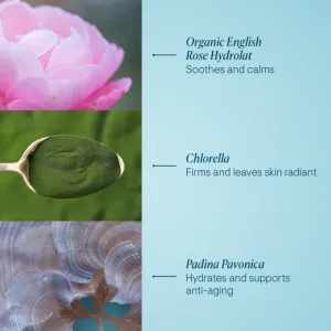 Elemis Pro-Collagen Rose Marine Cream hydratačný gélový krém pre spevnenie pleti 30 ml