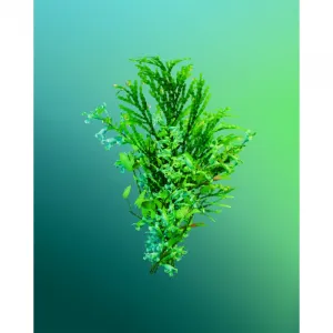 Adidas Vibes Full Recharge parfumovaná voda unisex 30 ml