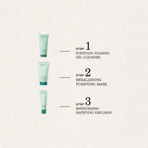 Payot Pâte Grise Masque Purifiant Rééquilibrant čistiaca maska pre mastnú pleť 75 ml