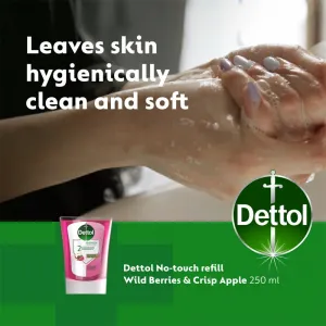 Dettol Energise Liquid Hand Wash Wild Berries & Crisp Apple náplň do bezdotykového dávkovača mydla 250 ml