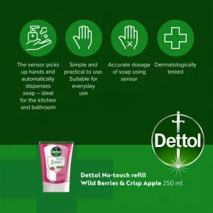 Dettol Energise Liquid Hand Wash Wild Berries & Crisp Apple náplň do bezdotykového dávkovača mydla 250 ml