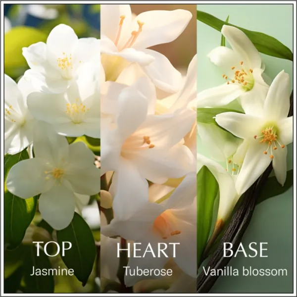Chanson d'Eau Original Jasmine toaletná voda pre ženy 100 ml