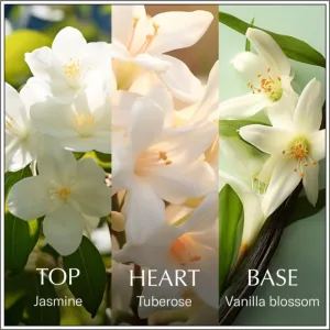 Chanson d'Eau Original Jasmine toaletná voda pre ženy 100 ml