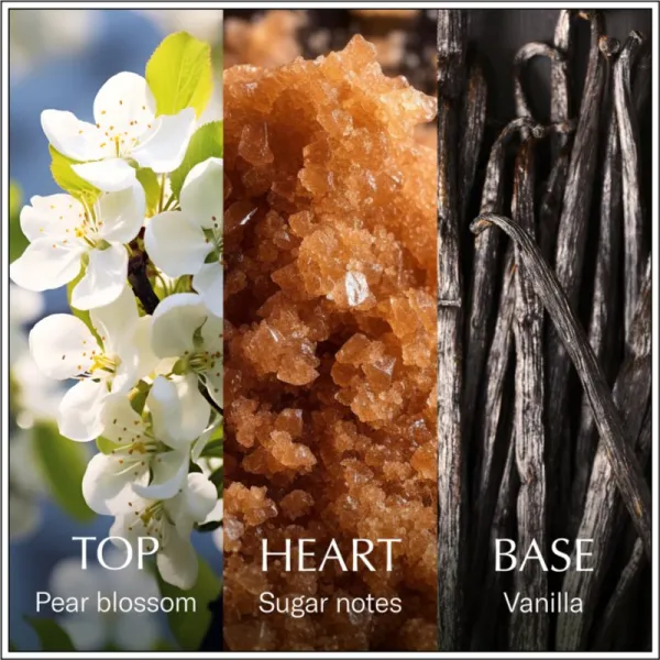 Chanson d'Eau Original Vanilla toaletná voda pre ženy 100 ml