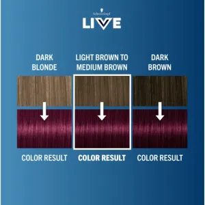 Schwarzkopf LIVE Colour + Lift permanentná farba na vlasy odtieň L76 Ultra Violet 1 ks