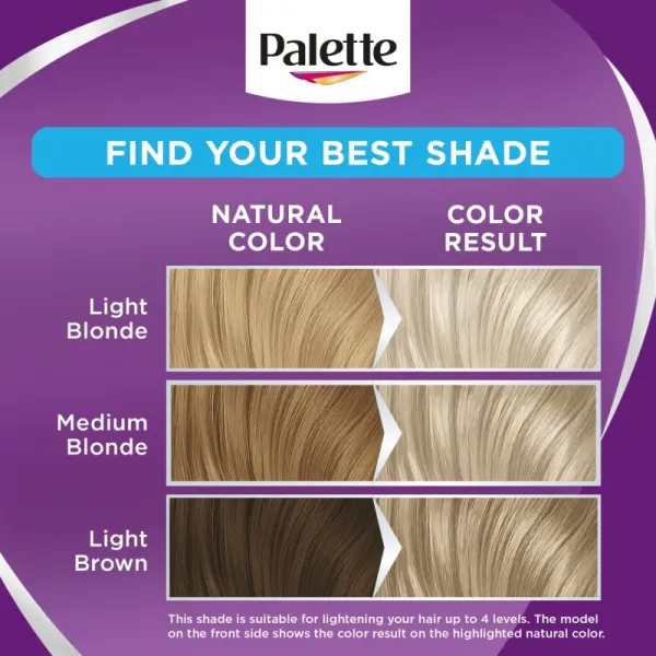 Palette Intensive Color Creme farba na vlasy zvlášť popolavoplavý 10-2