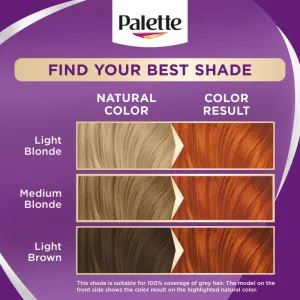 Schwarzkopf Palette Intensive Color Creme permanentná farba na vlasy odtieň 7-77 Intensive Copper 1 ks