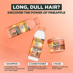 Garnier Fructis Pineapple Hair Food Maska na dlhé vlasy s rozštiepenými končekmi
 400 ml