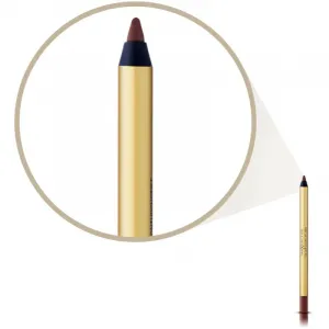 Max Factor Colour Elixir ceruzka na pery odtieň 30 Mauve Moment 5 g
