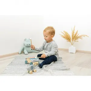 Zopa Wooden Pull Xylophone ťahací xylofón z dreva 1 ks
