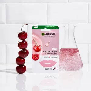Garnier Skin Naturals Lips Replump Mask vyplňujúca maska na pery 5 g
