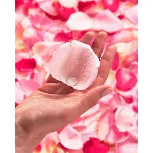Garnier Skin Naturals micelárna voda s ružovou vodou 400 ml