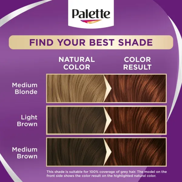 Palette Intensive Color Creme farba na vlasy gaštanový 5-68