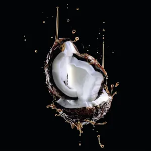 L’Oréal Paris Elseve Extraordinary Oil Coconut vyživujúci šampón pre normálne až suché vlasy 400 ml