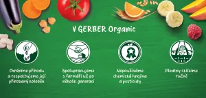 GERBER Kapsička organic ovocná mango a dula s kokosovým mliekom 80 g, 6+