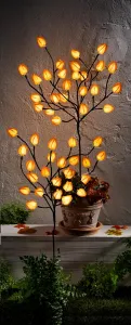 LED Záhradný zápich Physalis, sada 2 ks