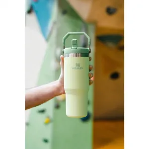 Stanley IceFlow™ Flip Straw Tumbler fľaša na vodu z nehrdzavejúcej ocele Tigerlilly 890 ml