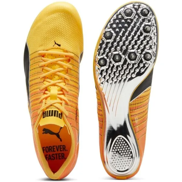 Puma EVOSPEED BRUSH 6 Pánske tretry, oranžová, veľkosť 40