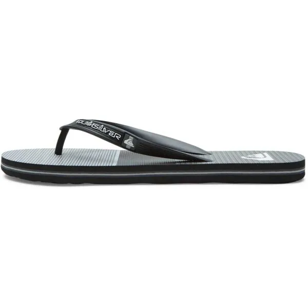 Quiksilver MOLOKAI TIJUANA Pánske žabky, sivá, veľkosť 40