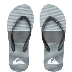 Quiksilver MOLOKAI TIJUANA Pánske žabky, sivá, veľkosť 40