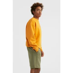 O'Neill FUTURE SURF SHORT Pánske šortky, khaki, veľkosť