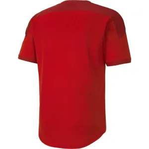 Puma TEAM FINAL 21 TRAINING JERSEY Pánske športové tričko, červená, veľkosť