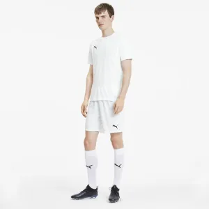 Puma TEAM GOAL 23 KNIT SHORTS Pánske šortky, biela, veľkosť