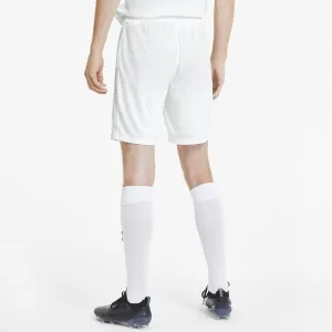 Puma TEAM GOAL 23 KNIT SHORTS Pánske šortky, biela, veľkosť